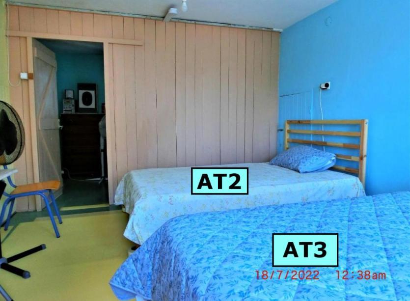 Ostello Ami's House Only For Women Dormer